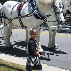 Meet your Posher, Johnny